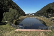 [경기티비종합뉴스] 용인특례시 호동 ‘길업습지’ 생태계 복원, 경기도 지원 대상 선정