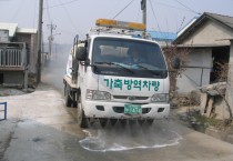 [경기티비종합뉴스]  경기도, 화천 아프리카돼지열병 발생에 따라 차단방역에 총력