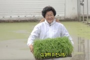 [기획특집] 이천시,  밥맛좋은 해들’·‘알찬미’ 임금님표 이천쌀개발 및 보급에 앞장서  -경기티비종합뉴스-