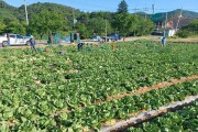 여주시, ‘산북품실 대감의 길 축제’ 개최  -경기티비종합뉴스-