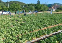 여주시, ‘산북품실 대감의 길 축제’ 개최  -경기티비종합뉴스-