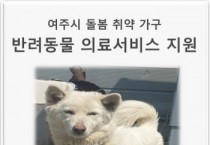 여주시, 반려동물 돌봄 취약가구에 의료비 등 지원   -경기티비종합뉴스-