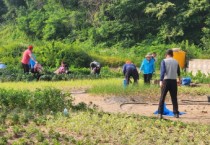 [경기티비종합뉴스] 이천시, 복하천 호법레포츠공원 가드닝 사업 추진