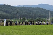 [경기티비종합뉴스] 여주시, 여주쌀 품종 대체 사업 1차 현장 평가회 개최