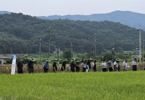 [경기티비종합뉴스] 여주시, 여주쌀 품종 대체 사업 1차 현장 평가회 개최