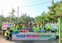 [경기티비종합뉴스] 농협 수원시지부 범농협 임직원과 함께 과수농가 농촌일손돕기 실시