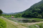 [경기티비종합뉴스] 용인특례시, 반딧불이 서식처 복원 앞서 식생 환경 조사