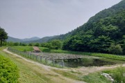 [경기티비종합뉴스] 용인특례시, 반딧불이 서식처 복원 앞서 식생 환경 조사