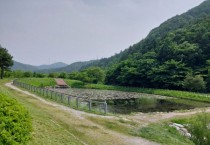 [경기티비종합뉴스] 용인특례시, 반딧불이 서식처 복원 앞서 식생 환경 조사