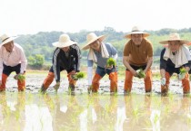 [경기티비종합뉴스] 김동연도지사 와 이충우시장 여주 모내기 현장 방문. 농업인 격려