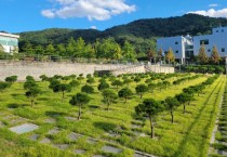 [경기티비종합뉴스] 용인 평온의 숲, 수목장 4위형 10월 1일부터 확대·운영 개시