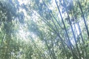 [경기티비종합뉴스] 하남시의회, 태화강 국가정원에서 ‘정원(庭園)도시 하남’을 꿈꾸다