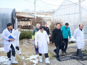 [경기티비종합뉴스] 오후석 경기도 행정2부지사  여주시 대설피해 축산농가 방문