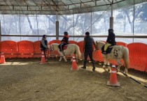 [경기티비종합뉴스] 이천시, 학생승마체험 모집…4월8일까지 호스피아 통해 참여 신청