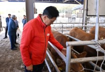 [경기티비종합뉴스] 양평군, 럼피스킨 예방 접종 완료에 따른 가축시장 재개장