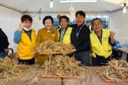 [경기티비종합뉴스] 이천시,‘이천인삼축제’10월 25일 개막