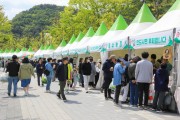 [경기티비종합뉴스] 양평군, “봄 기운 가득” 양평 용문산 산나물축제, 26~28일 개최